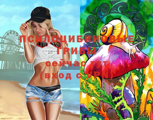 трава Новодвинск
