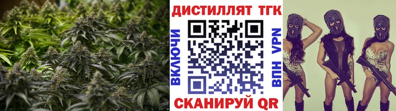 kraken как войти  Шебекино  ТГК жижа  где продают наркотики 